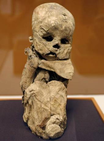 The remains of a mummified Chachapoyas baby, found in one of the culture’s cliff-side burial locations.