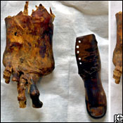 The Cairo toe and the owner’s mummified foot! The Cairo toe and the owner’s mummified foot!