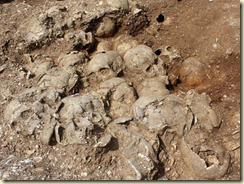 The skulls were piled neatly beside the Vikings' other remains