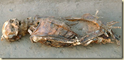 This body was preserved by dry air instead of deliberate mummification