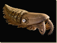 These predators grew up to three feet in length