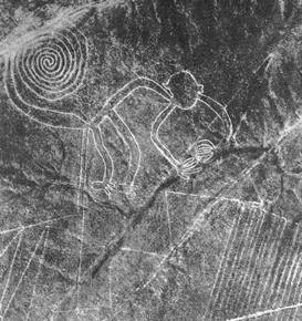 Nazca line drawing of a monkey