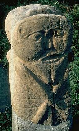 The male face of boa